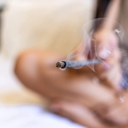 Copal Incense Sticks (70 Pack)