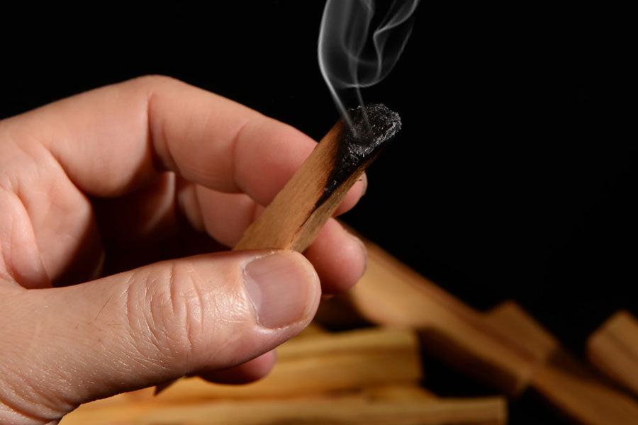 7 Incredible Benefits of Palo Santo and How to Use it for Health and Healing